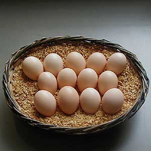 ウコッケイ　の　卵